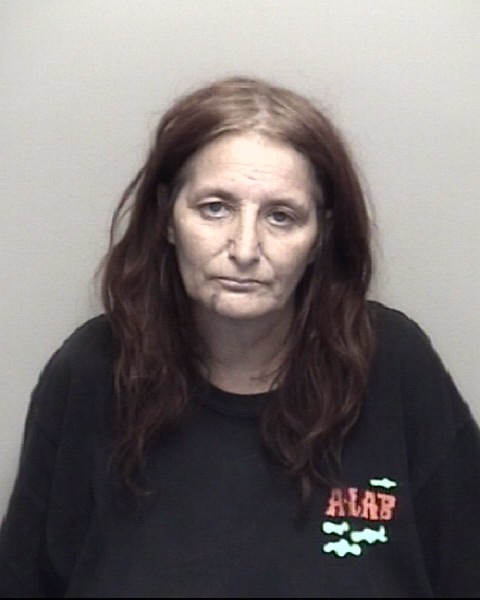 Booking photo of Laressa Dineen