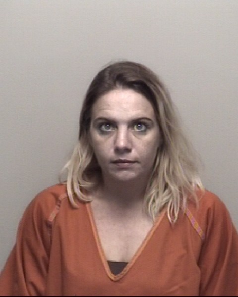 Booking photo of Sandra Carlisle