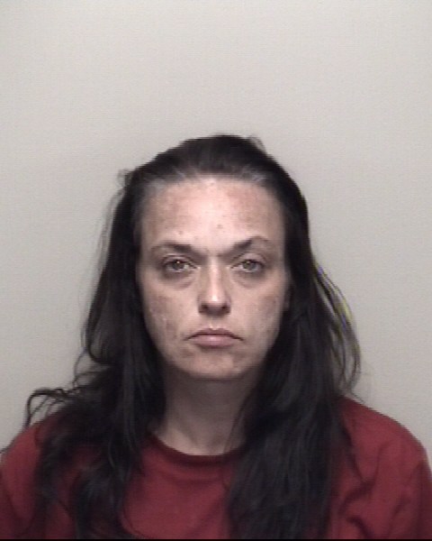 Booking photo of Priscilla Collins