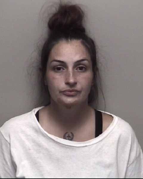 Booking photo of Denise Robertson