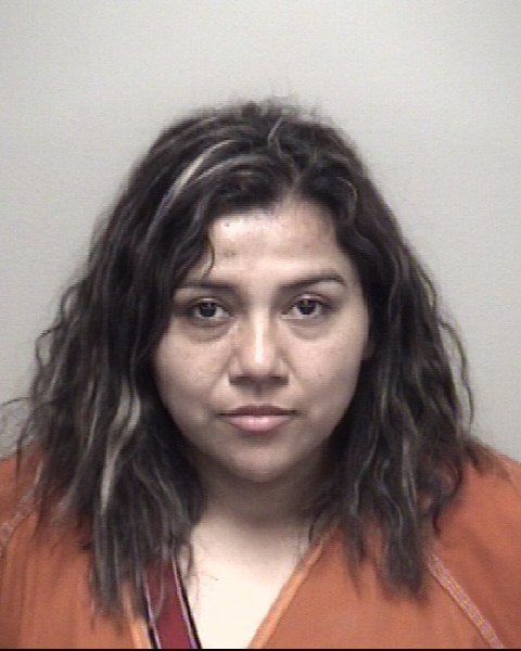 Booking photo of Adeli Melgar Perez