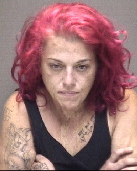 Booking photo of Jodi Carr