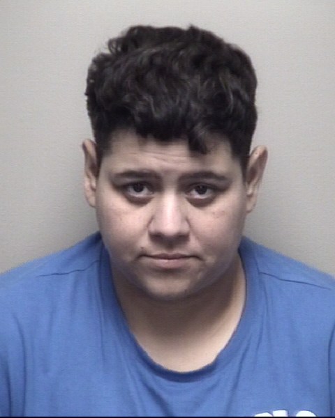 Booking photo of Cecily Ortega