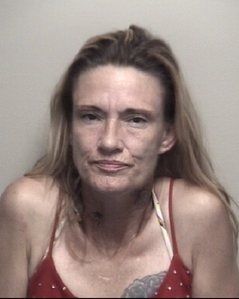 Booking photo of Erica Lagway