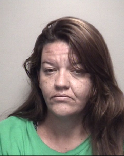 Booking photo of Amanda Holt