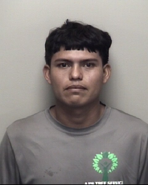 Booking photo of Henry Sosa Villagran