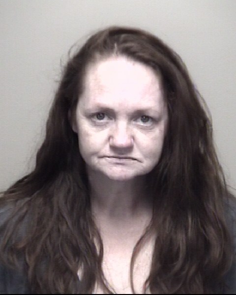 Booking photo of Deanna Borchardt