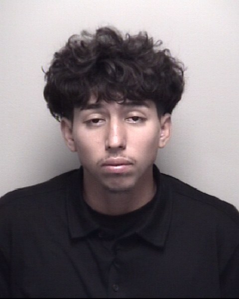 Booking photo of Guadalupe Gonzales