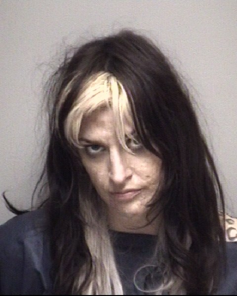 Booking photo of Haylee Palmer