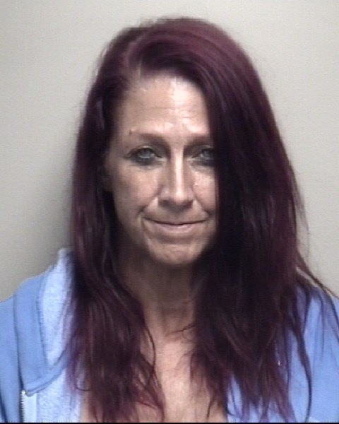 Booking photo of Sandie Watson
