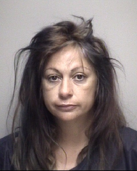 Booking photo of Christina Romanoski Reginer