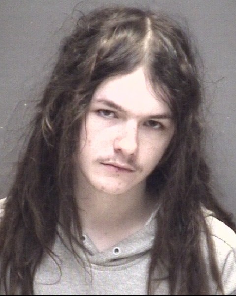 Booking photo of Bryen Vogel