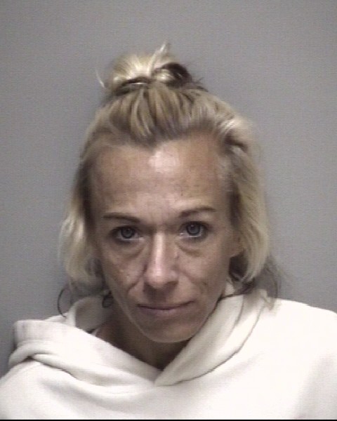 Booking photo of Mistie Fisher