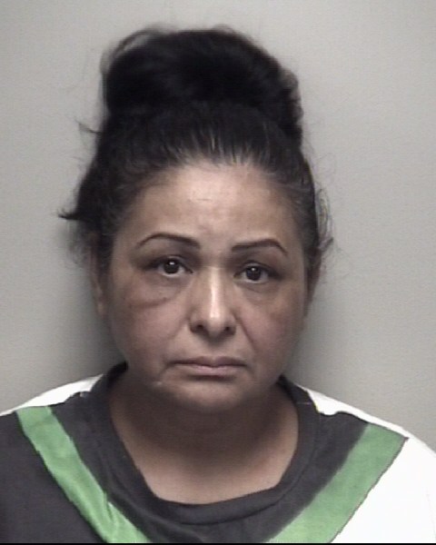Booking photo of Raquel Saldana