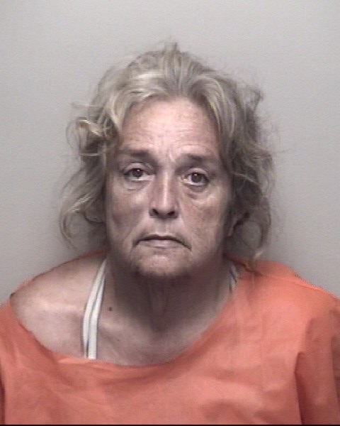 Theresa Watkins booking photo