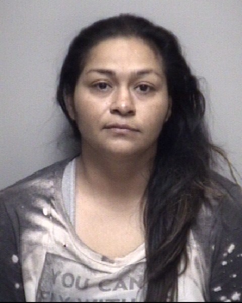 Rosa Hernandez booking photo