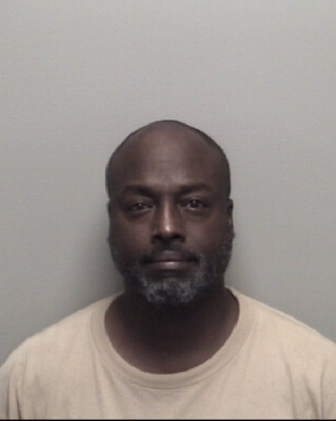 Stacey Wilkins booking photo