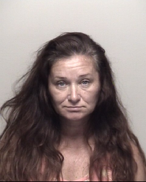 Dawn Nappa booking photo