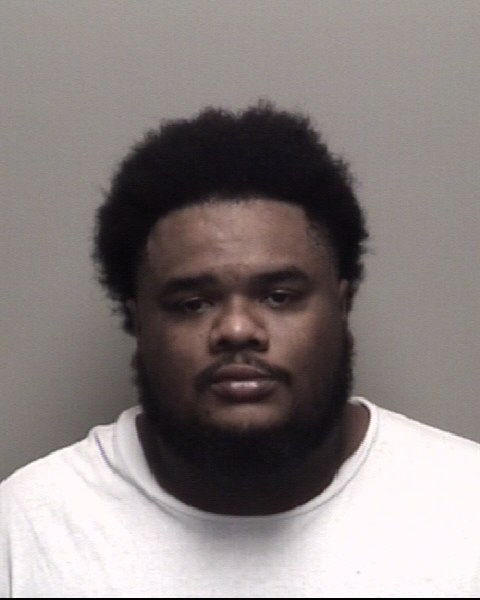 Arian Wilson booking photo