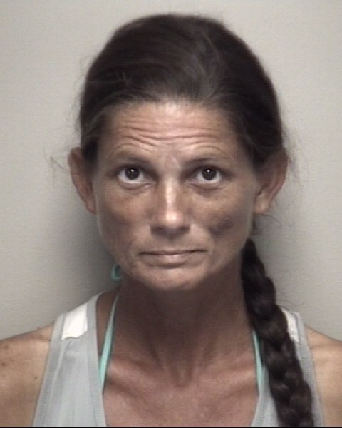 Linda Obrien booking photo