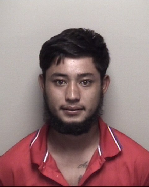 Erin Mena Galdames booking photo
