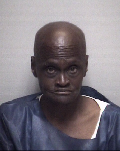 Theresa Jones booking photo