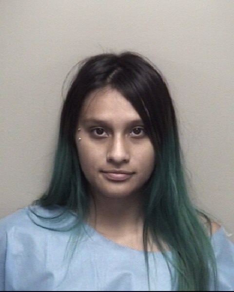 Vanessa Alvarado booking photo