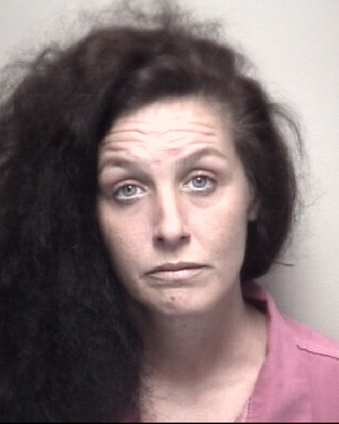 Nicole Morgan booking photo