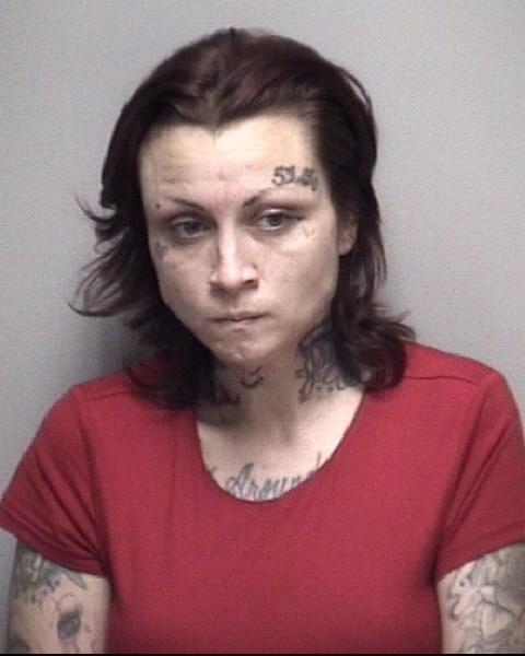 Stormy Fee booking photo