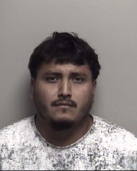Booking photo of Lesbin Vega Culajay