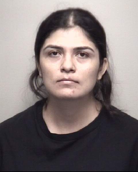 Alejandra Olmedo Romero booking photo