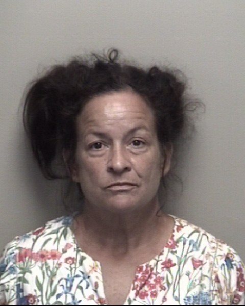 Booking photo of Nicole Pavona