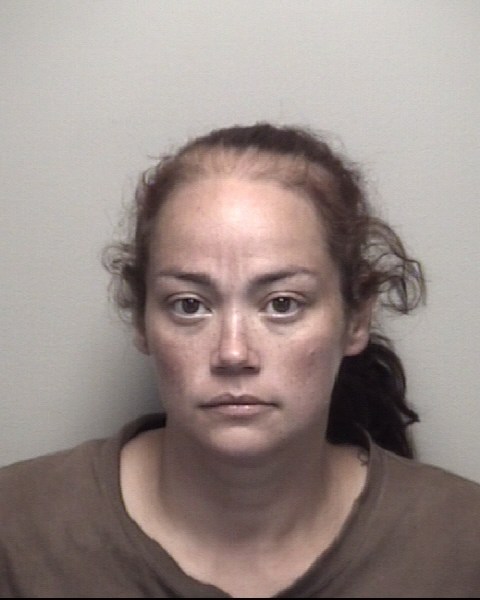 Booking photo of Lisa Tobey