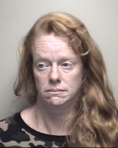 Booking photo of Susan Gibson
