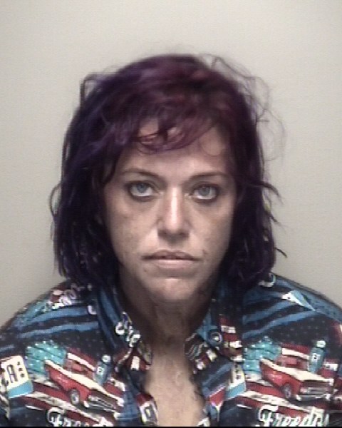 Booking photo of Jodi Carr