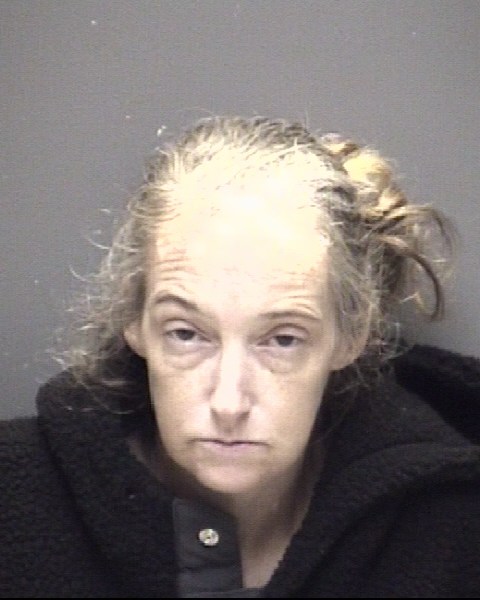 Booking photo of Brandy Hawk