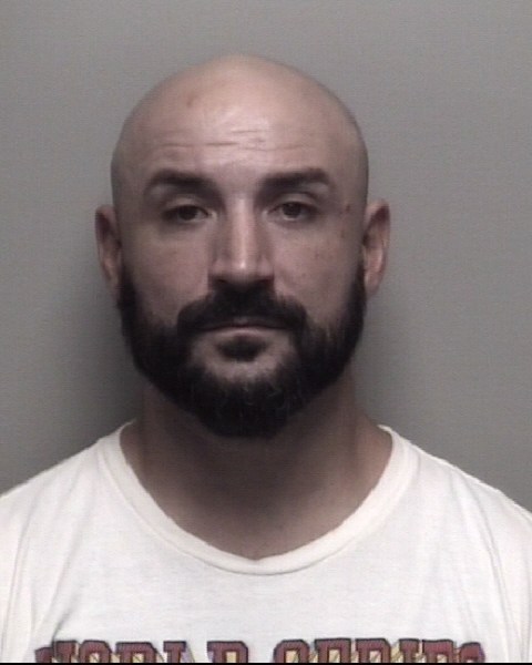 Booking photo of David Shenoda