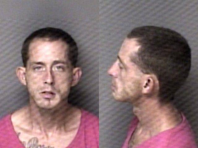 Booking photo of James Purcell