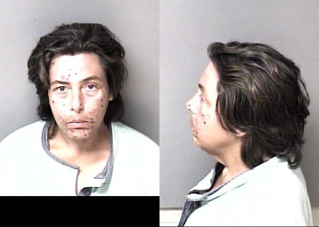 Deanna Johnson booking photo