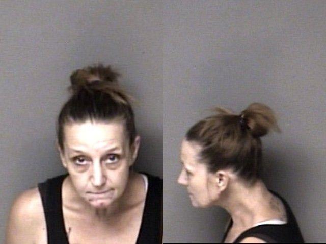 Booking photo of Brandi Erwin