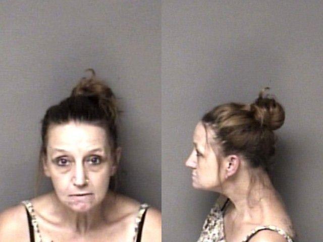 Booking photo of Brandi Erwin
