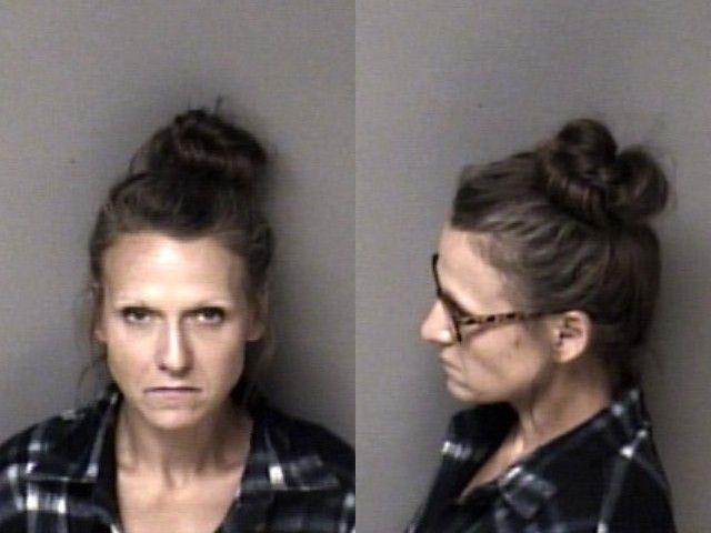 Booking photo of Tamara Hice