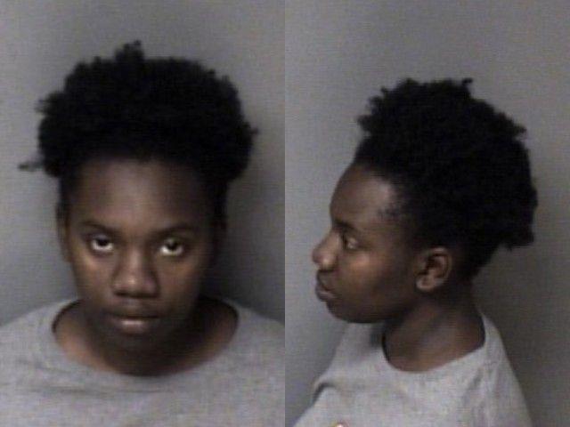 Brianna Sampson booking photo