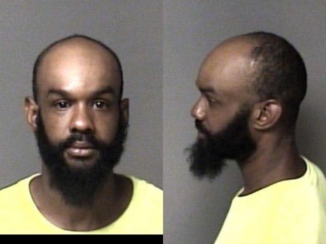 Casey Cook booking photo