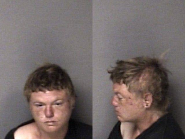 Booking photo of Krista Hawkins