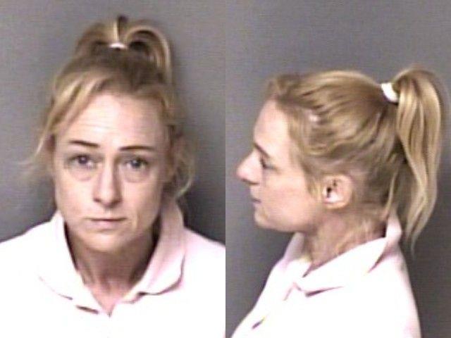 Booking photo of Lisa Land