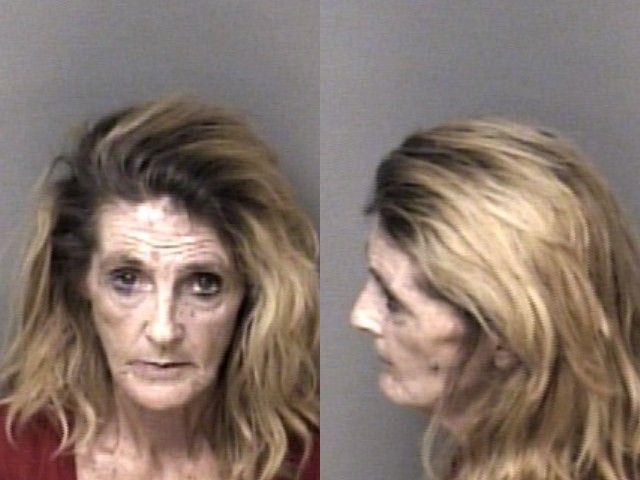 Booking photo of Lisa Reinhardt