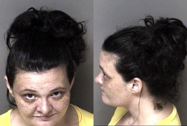 Booking photo of Amber Fine