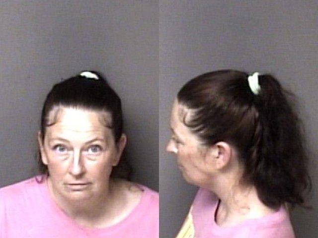 Booking photo of Ginger Costner