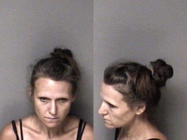 Booking photo of Tamara Hice